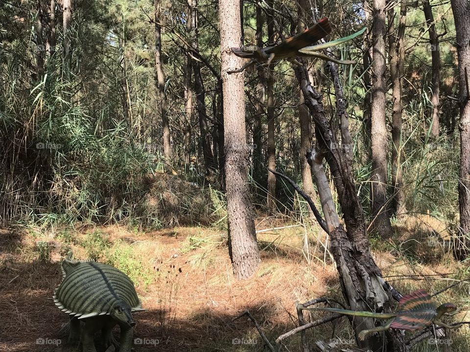 Dino parque Lourinhã 