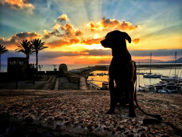 friend for ever: sunset