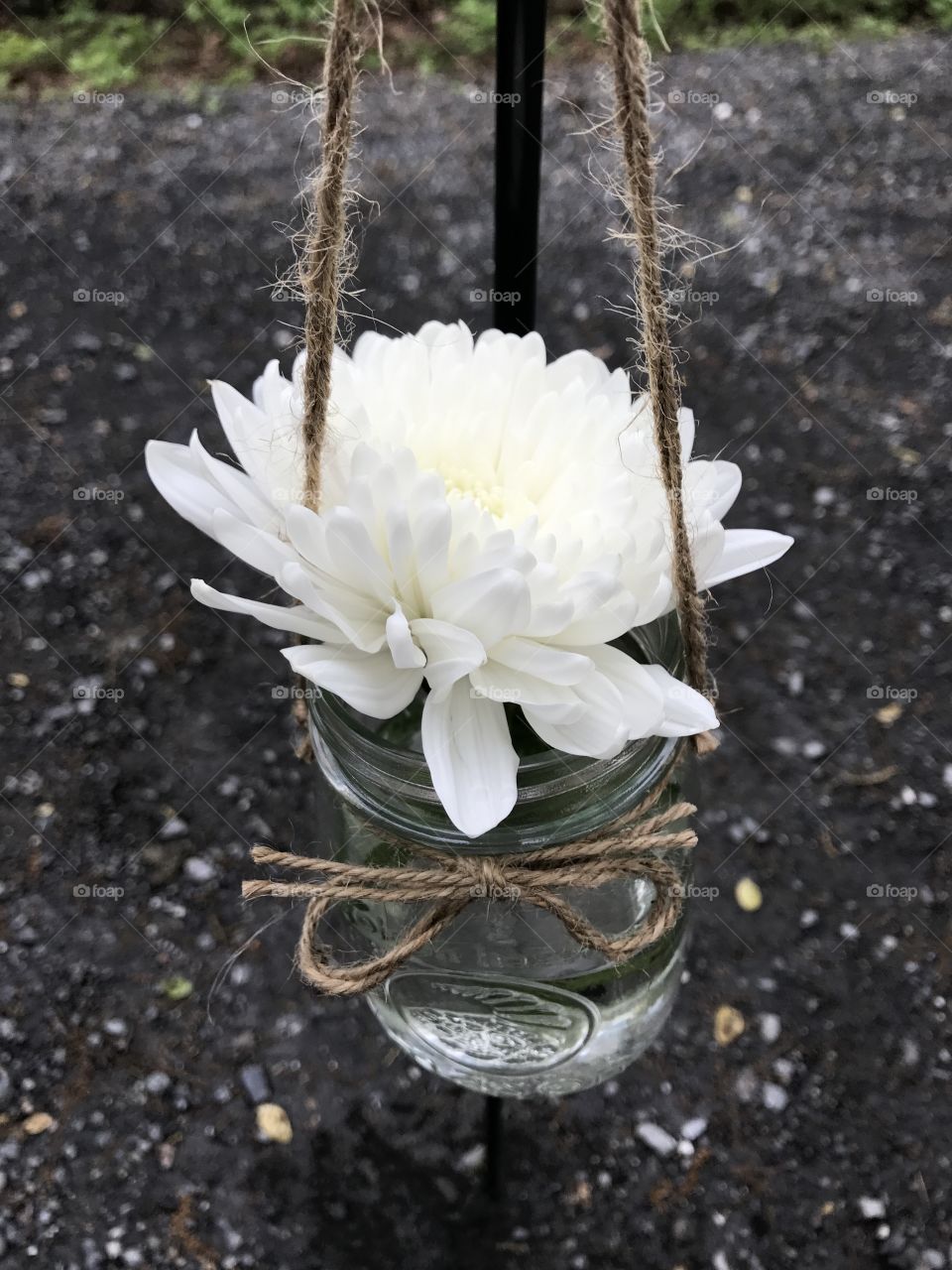 Flower in hanging mason jar