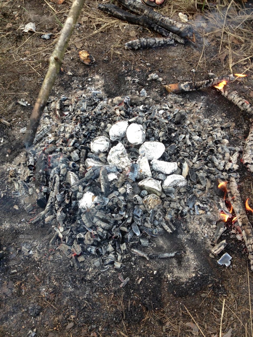 Backing potatoes on carbons