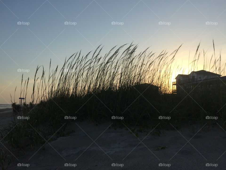 Sand dune sillouette