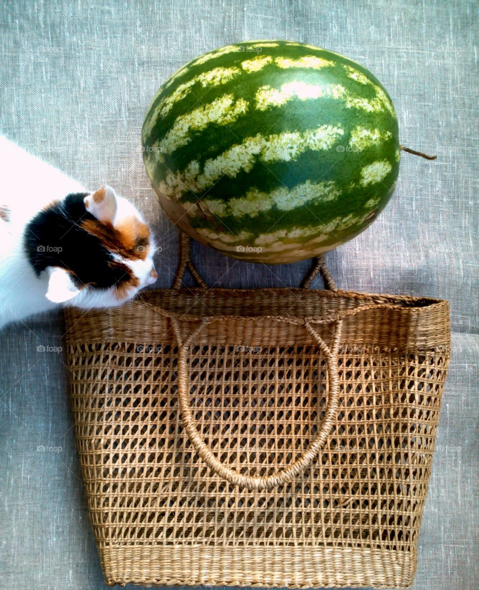 Basket, No Person, Food, Desktop, Wicker