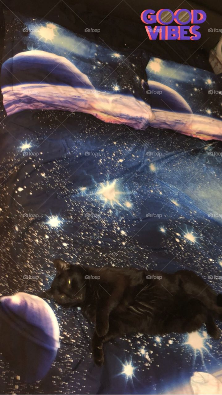Sweet galaxy dreams with kitty Cali 🐈‍⬛