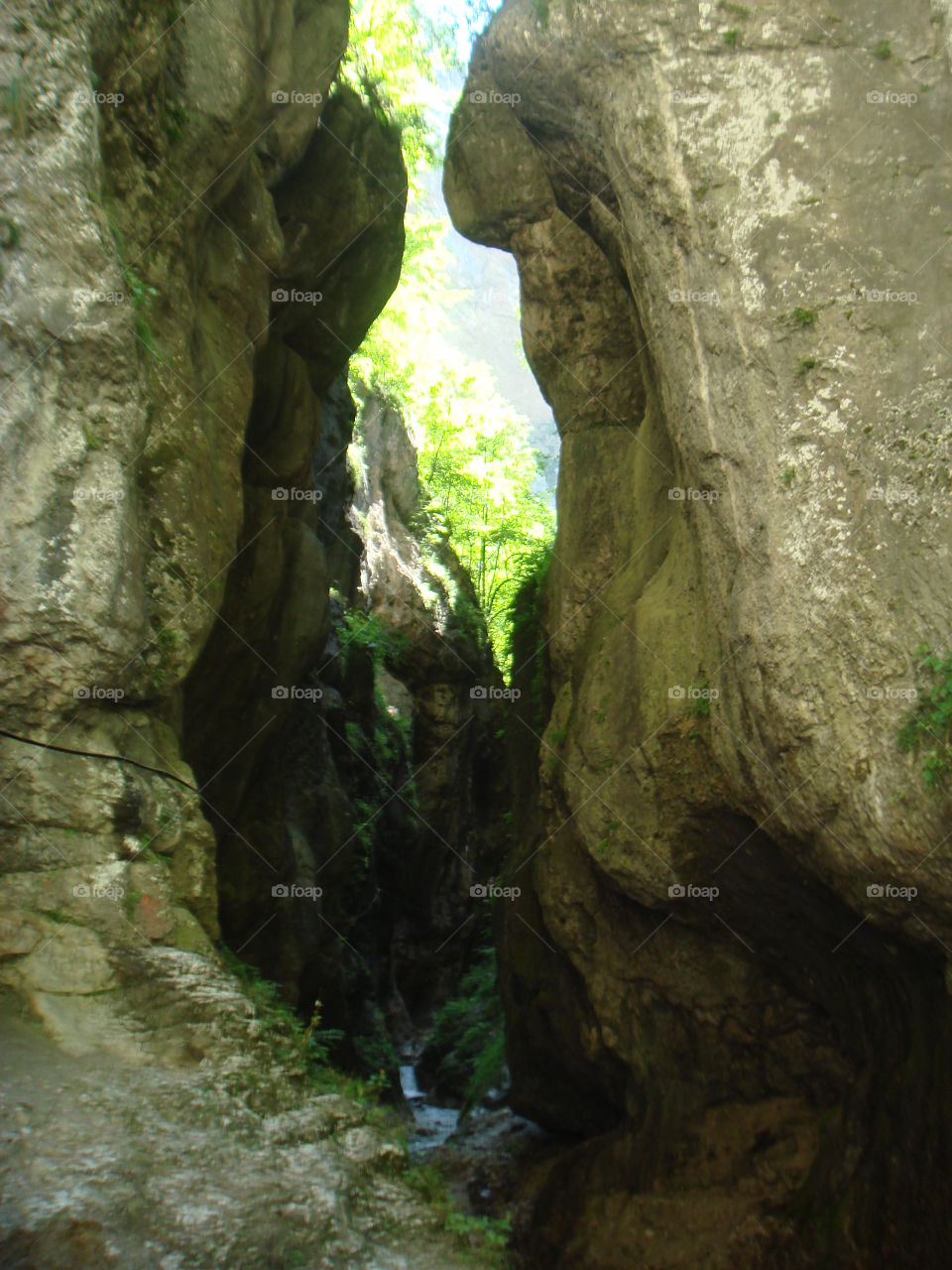 Caucasus Mountains