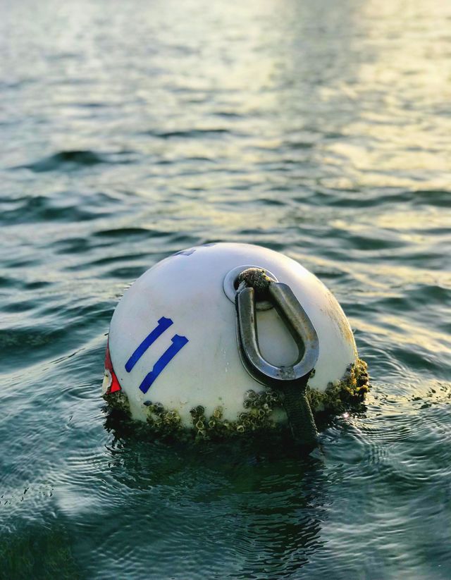 Number 11 floating in Florida waters 