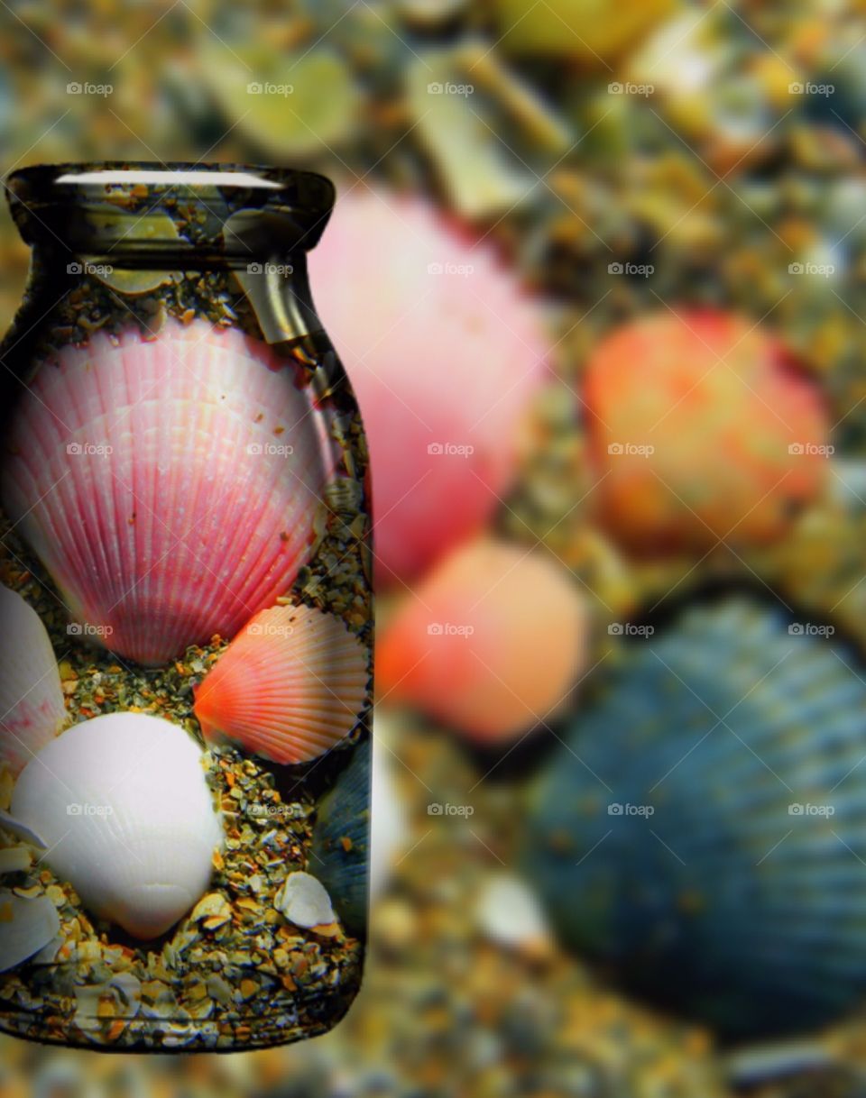 Shells in a jar