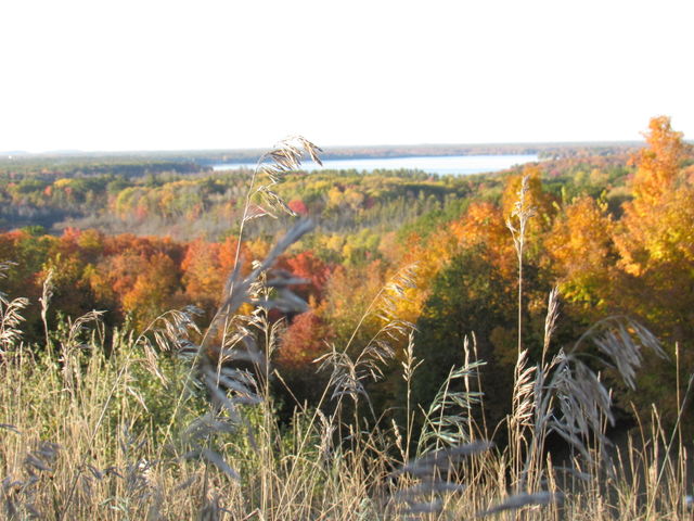 Fall landscape 