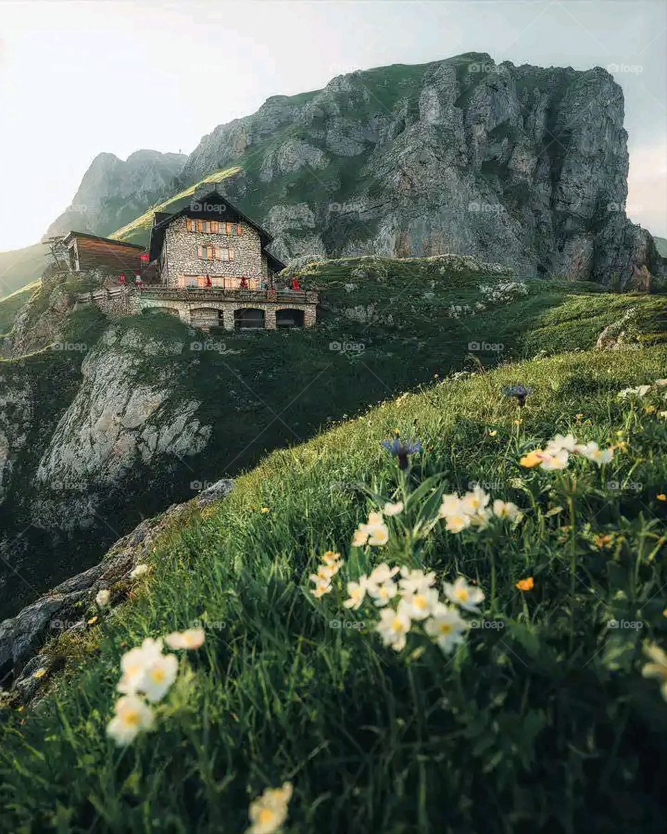 Glory be to God, the magnificent and picturesque view and the natural green trees are a view that is nothing more wonderful than it