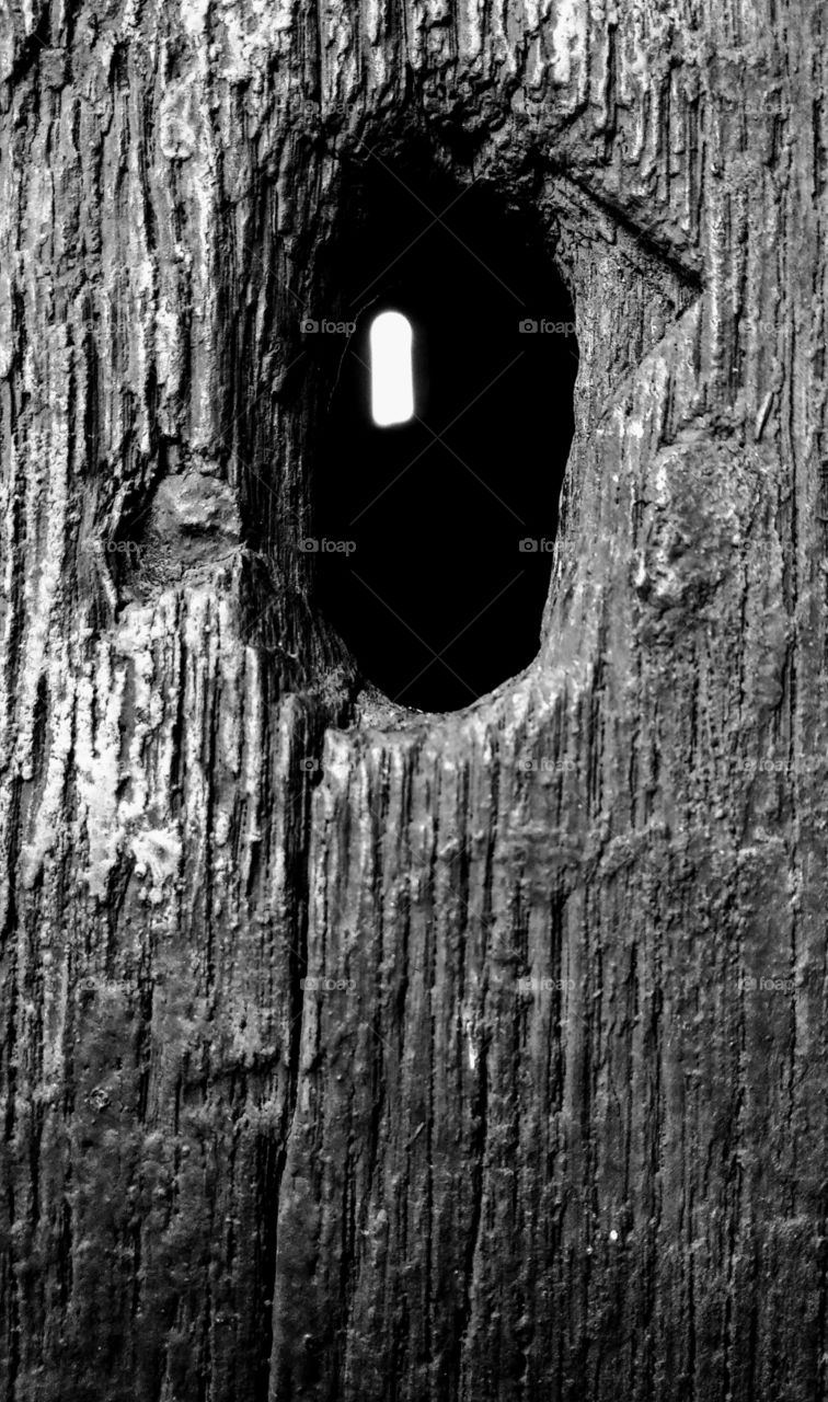 History through the keyhole