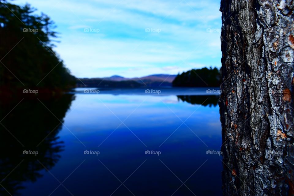 Scenic shot of lake and mountains
