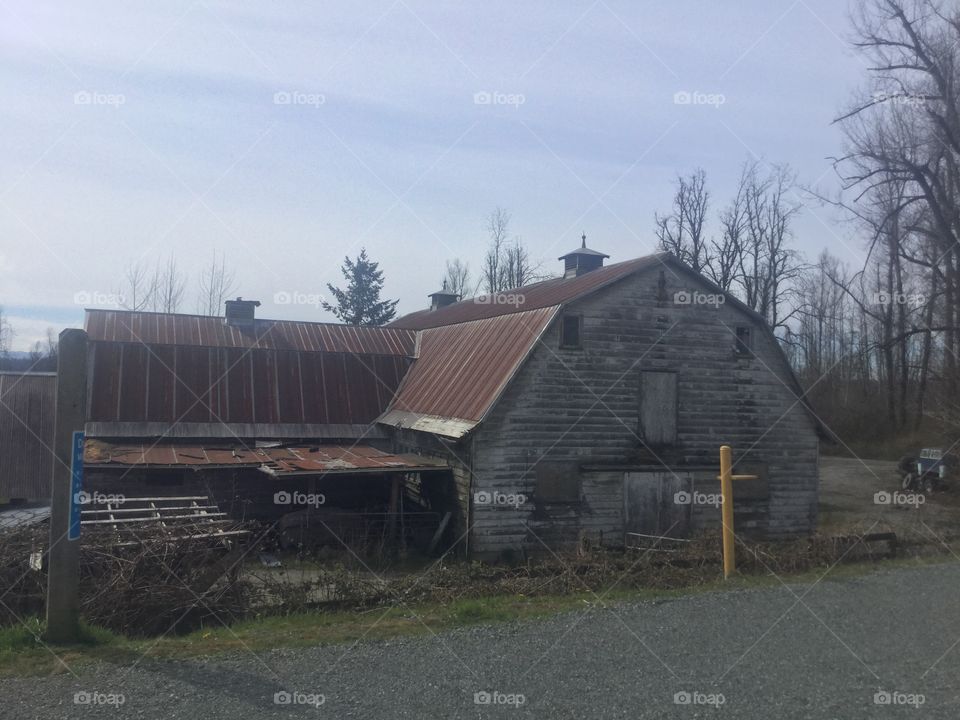 Barn on the Matsqui Flats in Abbotsford, British Columbia 