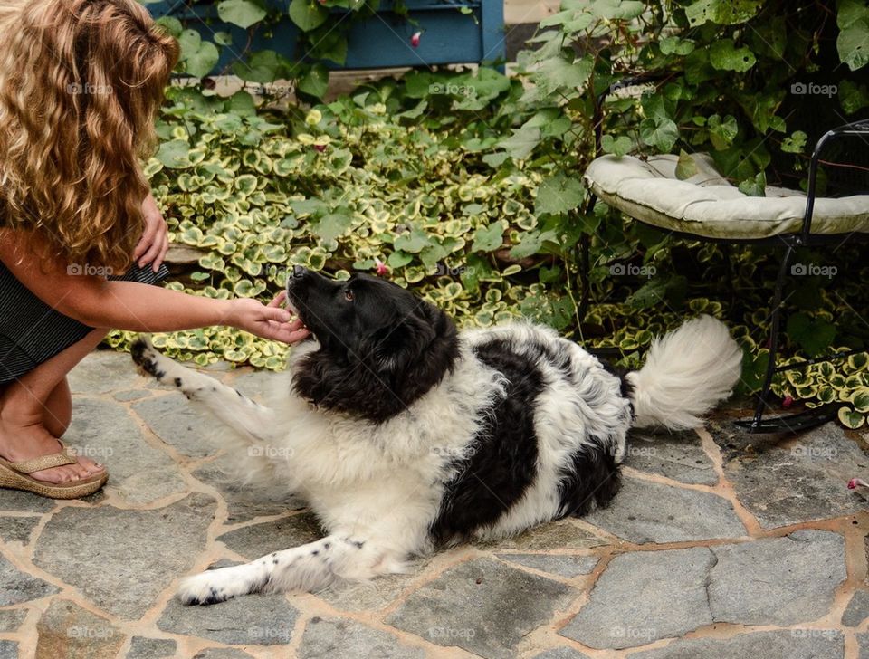 Woman and dog