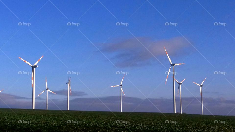 windmills