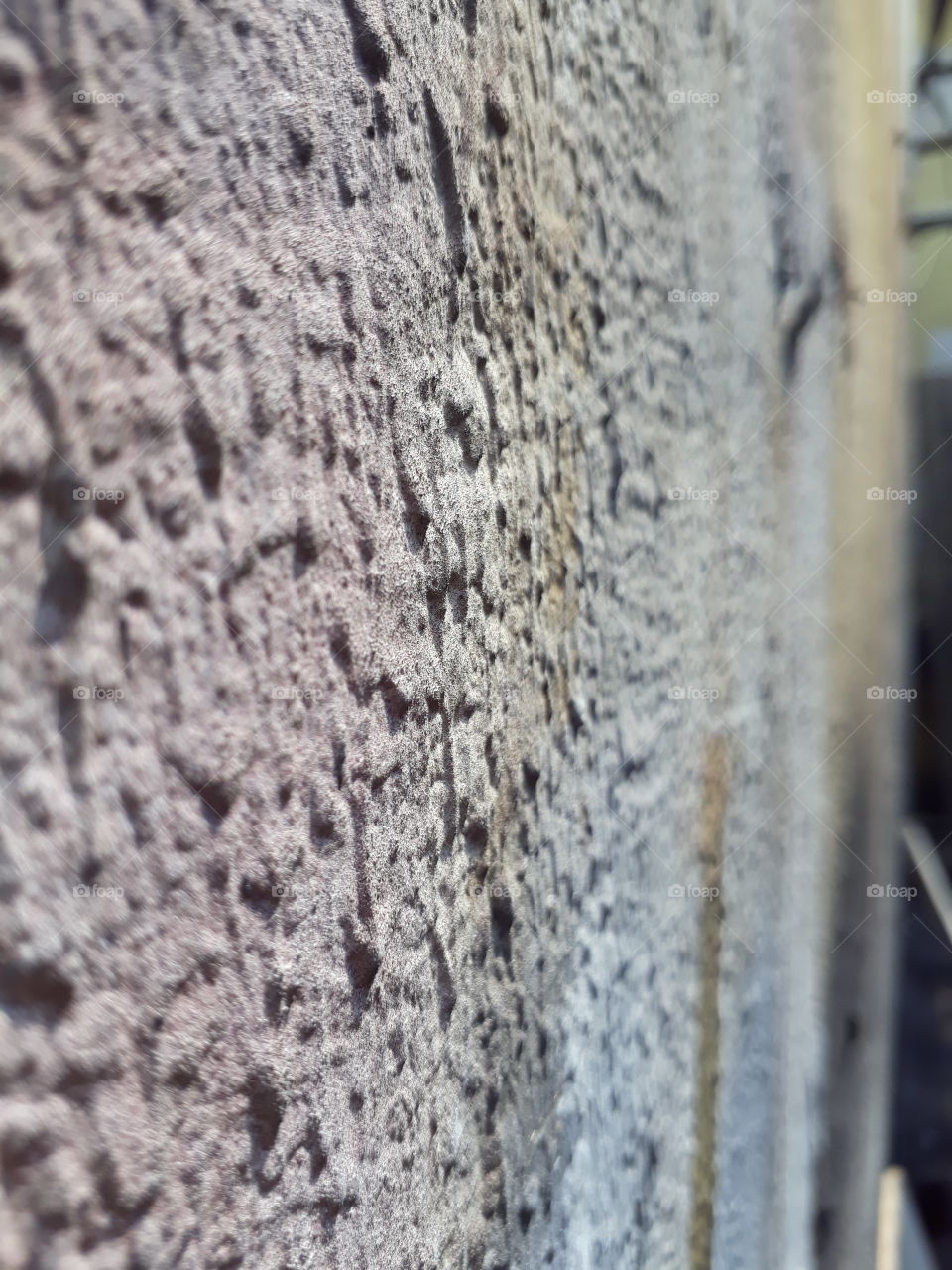 life is not easy (wall)