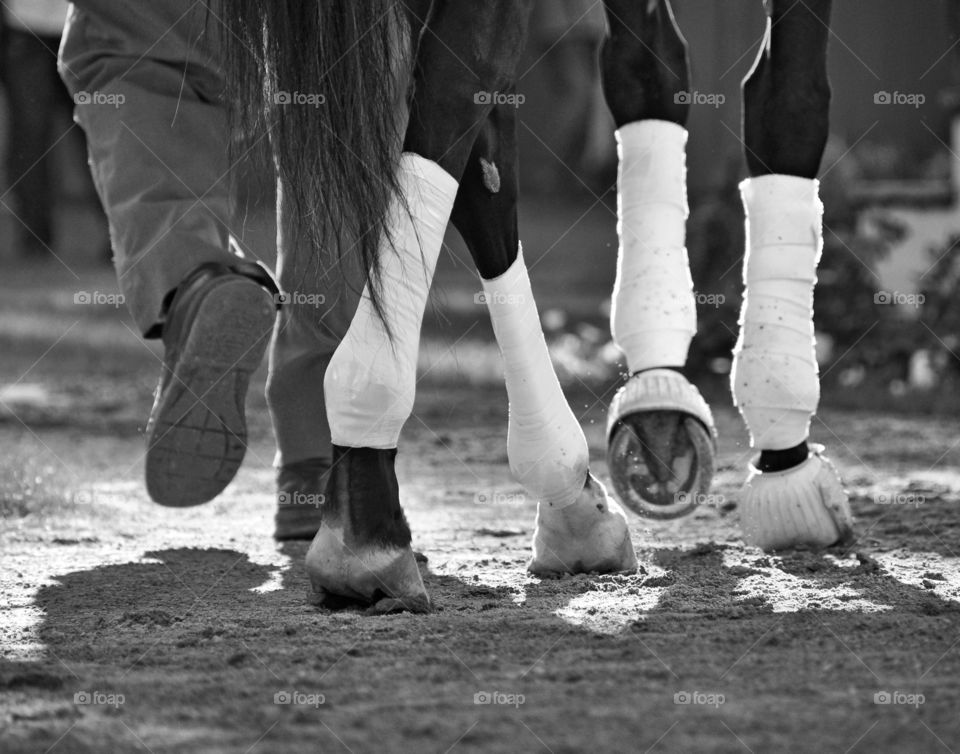 Fleetphoto. Award winning shot and the grand prize winning photo of Fleetphoto. Black and white of a colt's horse shoes.
Fleetphoto