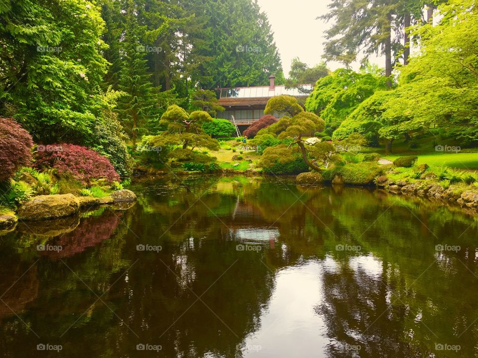 Meditation Pond