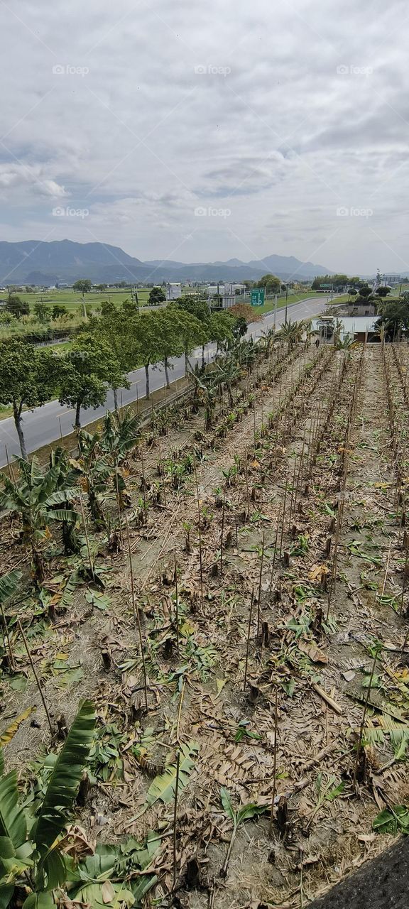 beautiful view of the mountains