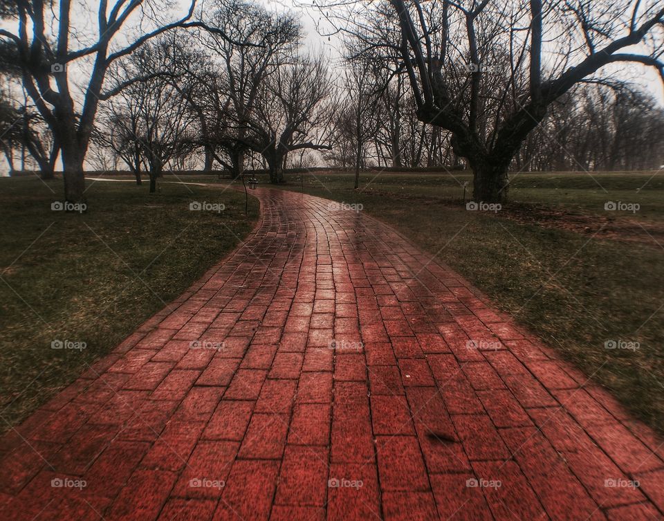 Bleak Brick Road 