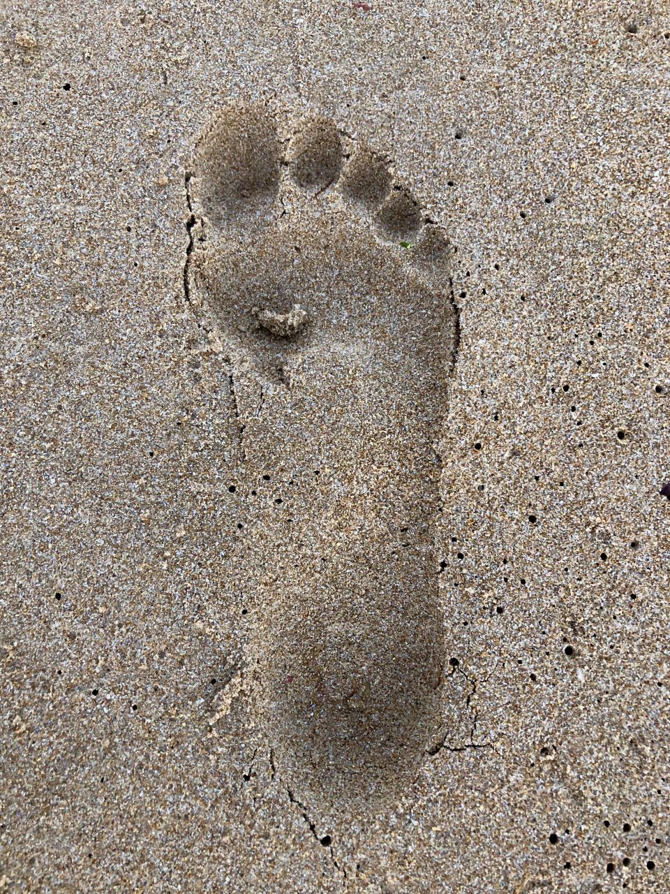 Human footprint