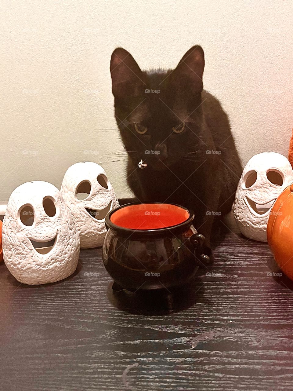 Little familiar brewing some trouble. 