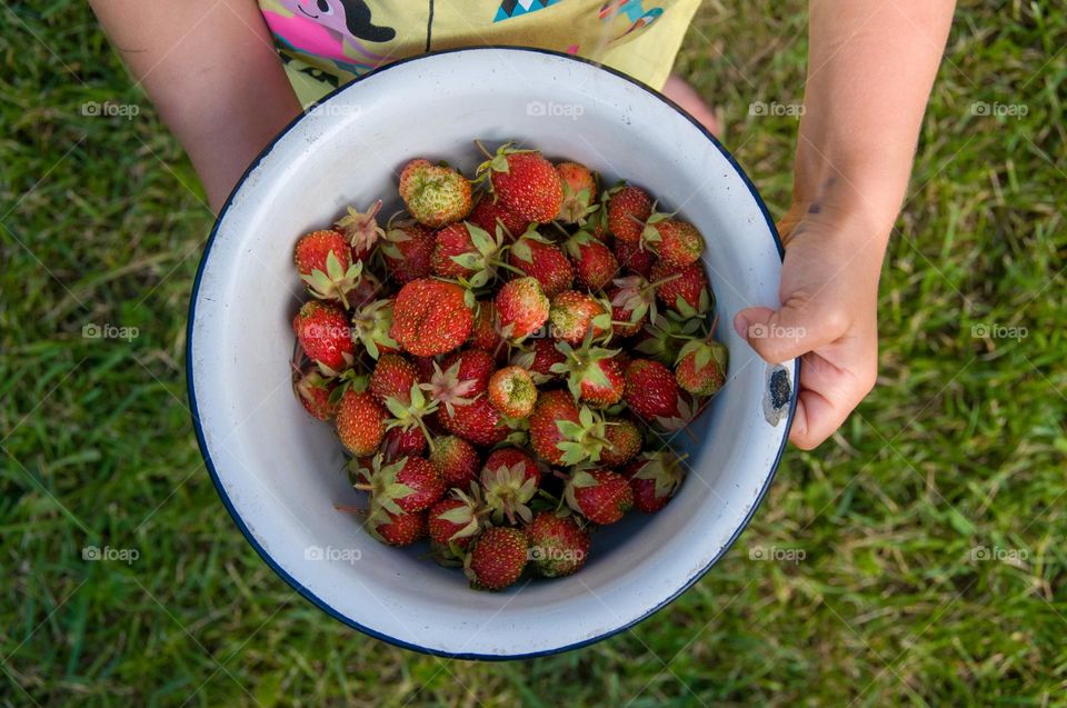 Fresh strawberries in an iron bowl. Harvest. Top view. Spring. Healthy food.