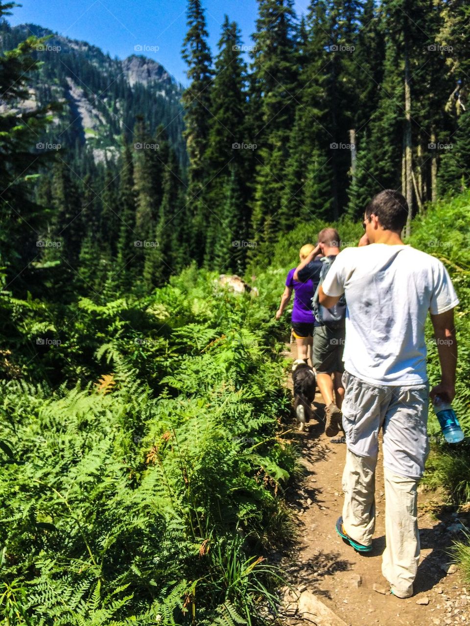 People hiking