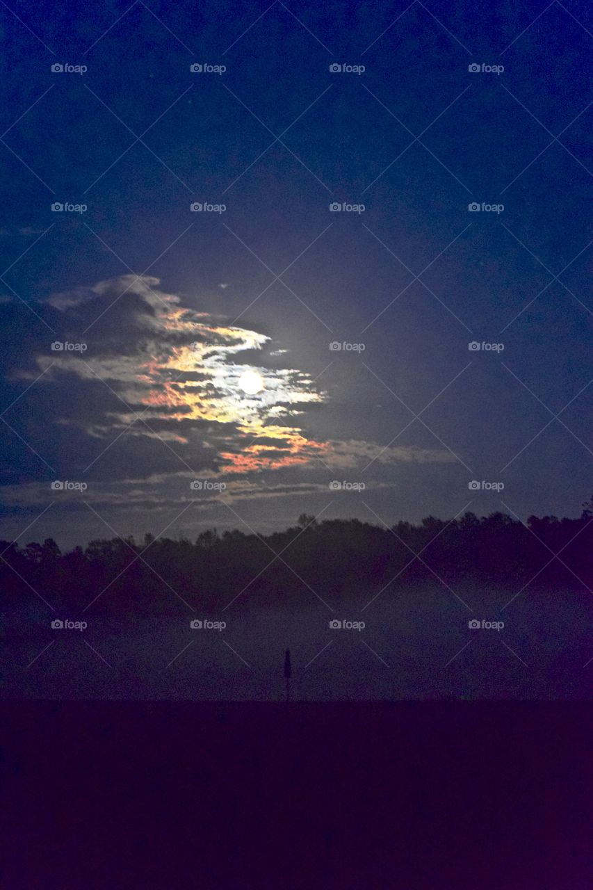 Foggy Florida Nights