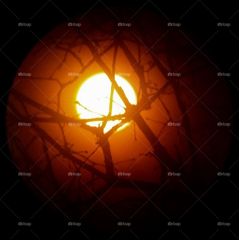 The Sun through a Solar Filter.