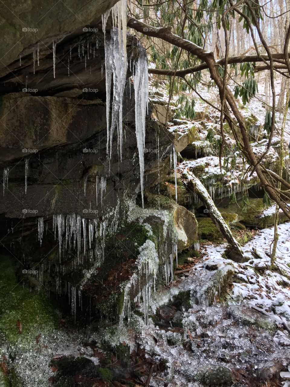No Person, Water, Nature, Stone, Wood
