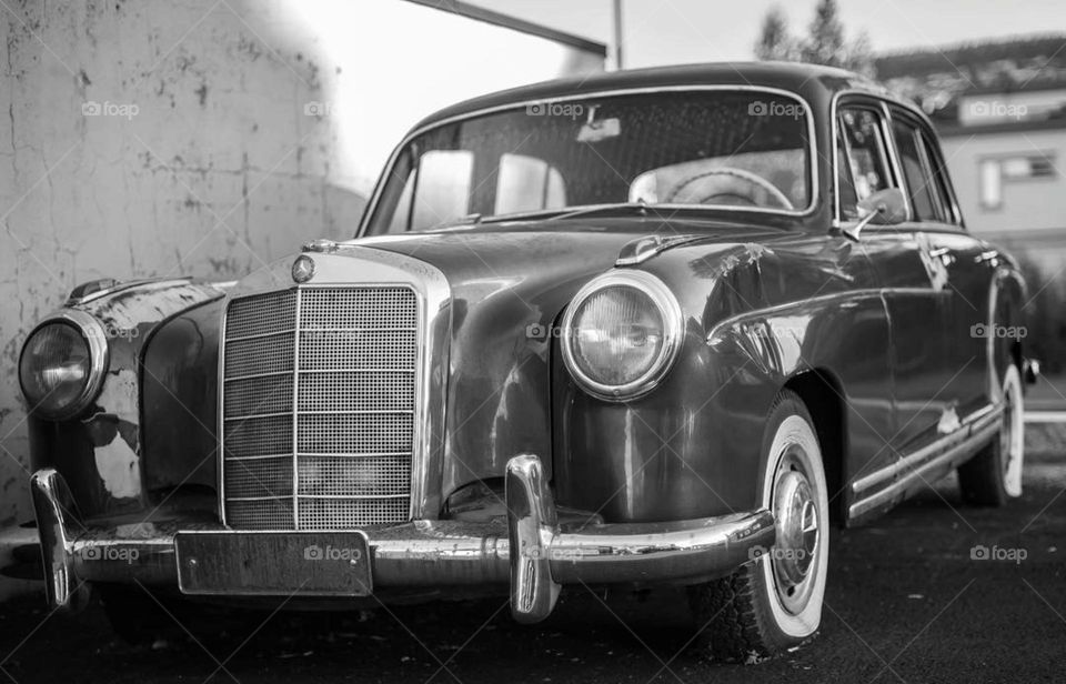 The road stretches ahead, a ribbon of memories yet to be made