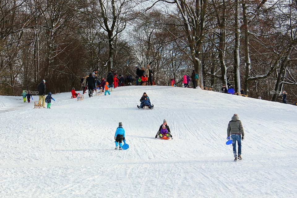 Winter activities of people in Englischer Garten of Munich