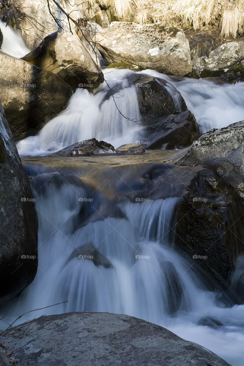 spring rapids among the rocks