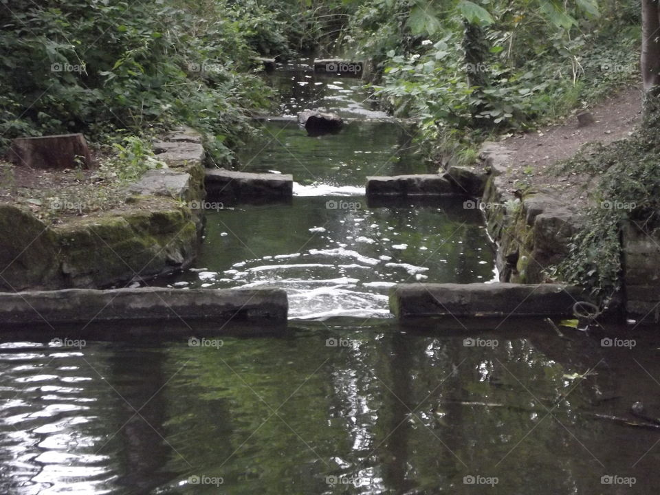 A Stream In Summer