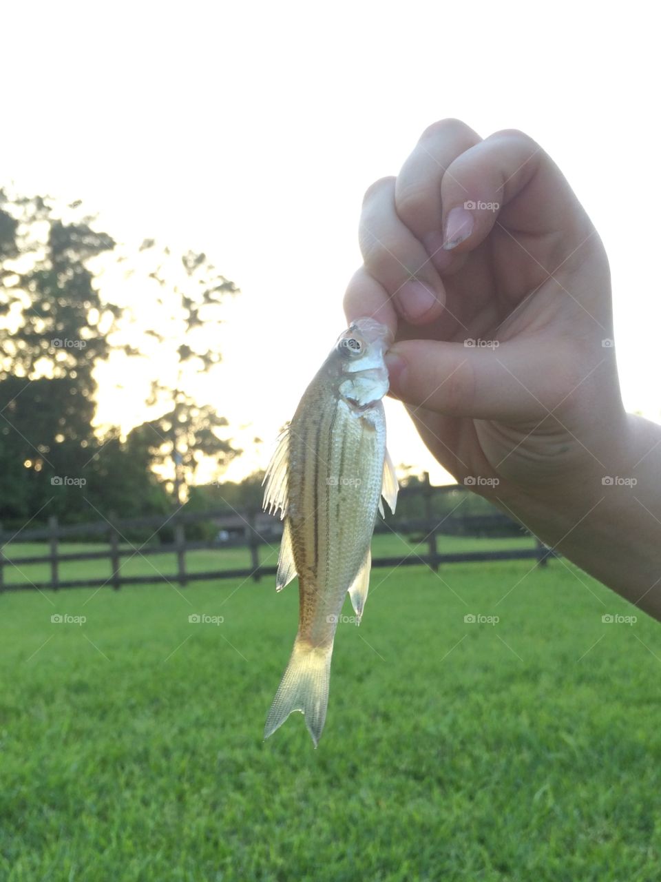 Gone fishing 