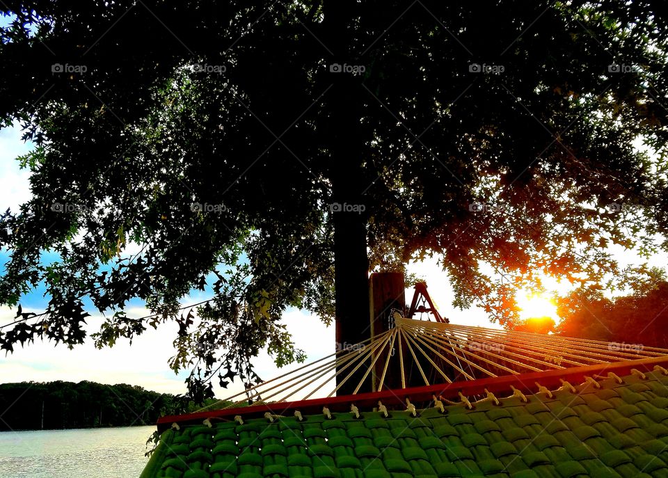 hammock view of the lake