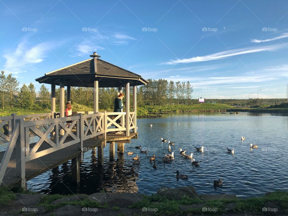 Hanging around by the pond.  People come with the kids to feed the geese and ducks.   Great time if day with a nice warm light. 