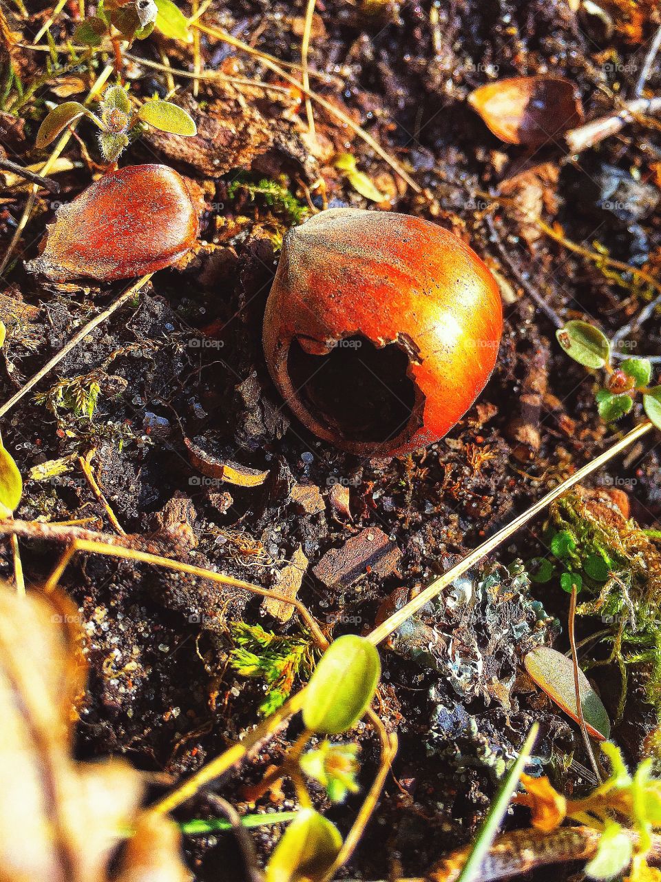 Captured with iPhone 6s Plus 