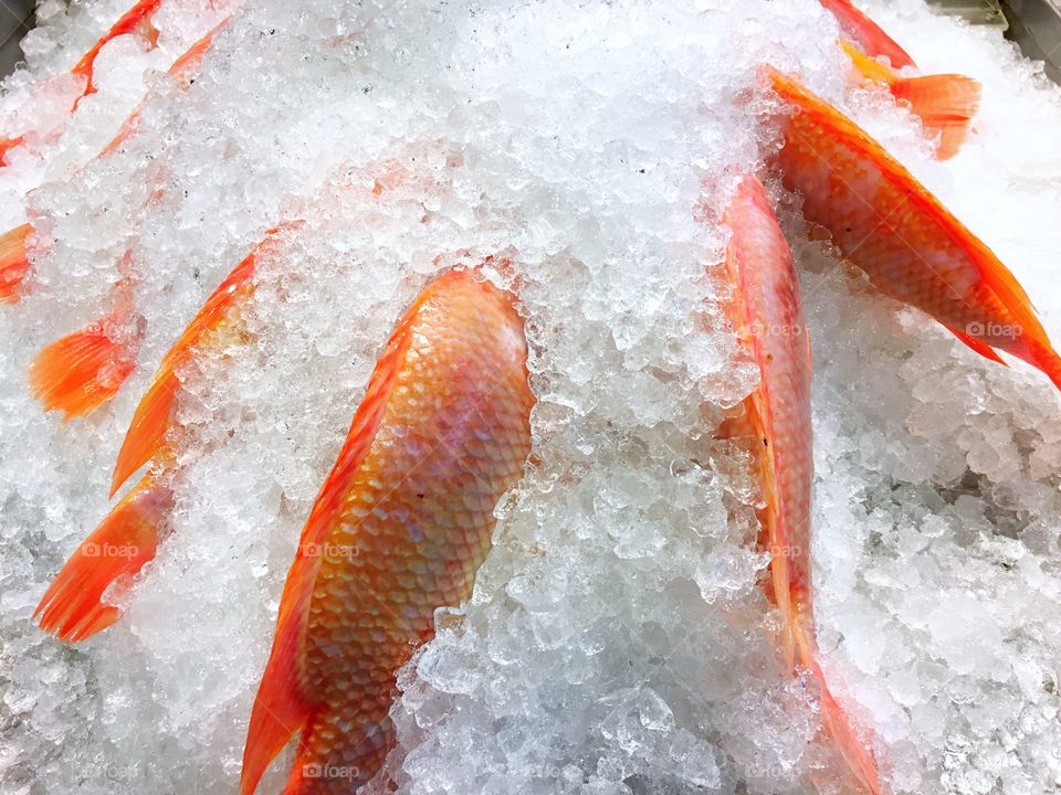 fish Fresh fillet Eat healthy. Frozen fish