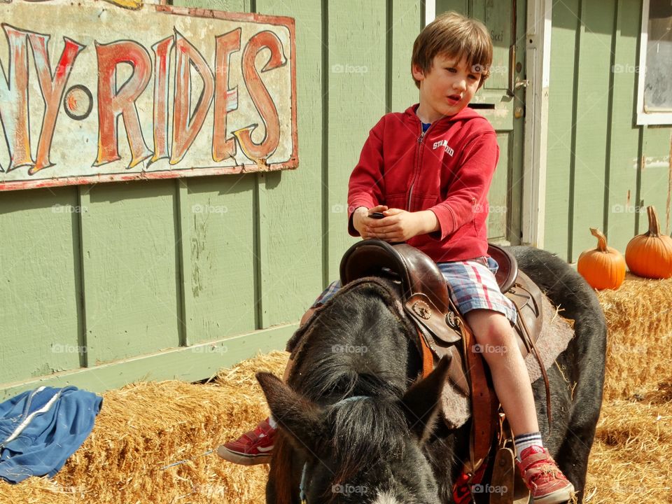 Little Boy Riding A Pony
