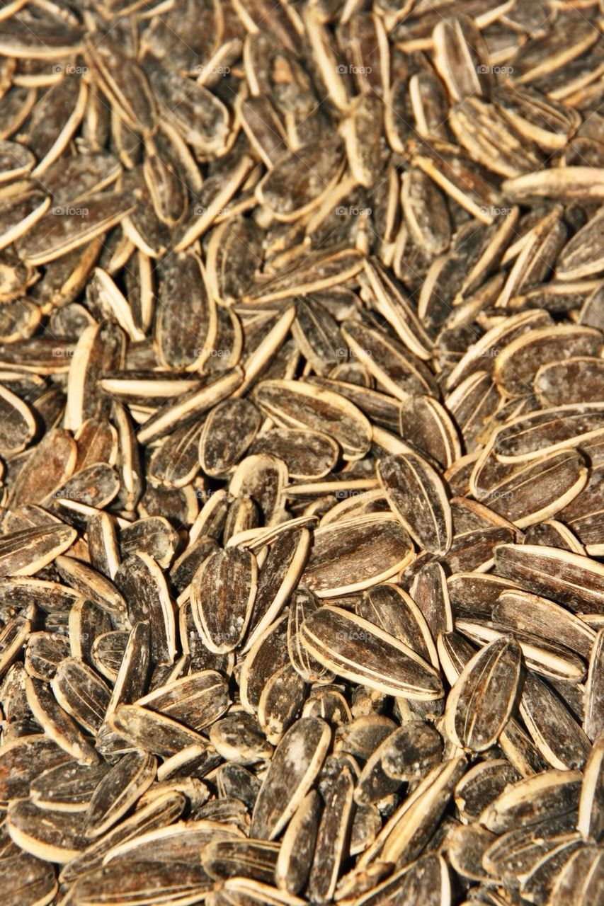 Sunflower Seeds
