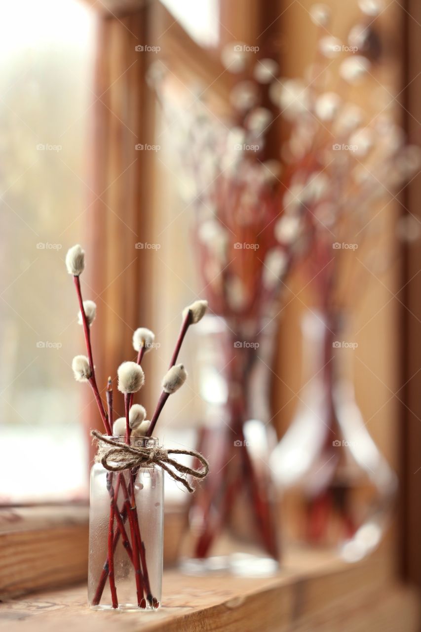 willow branches in a vase on the window