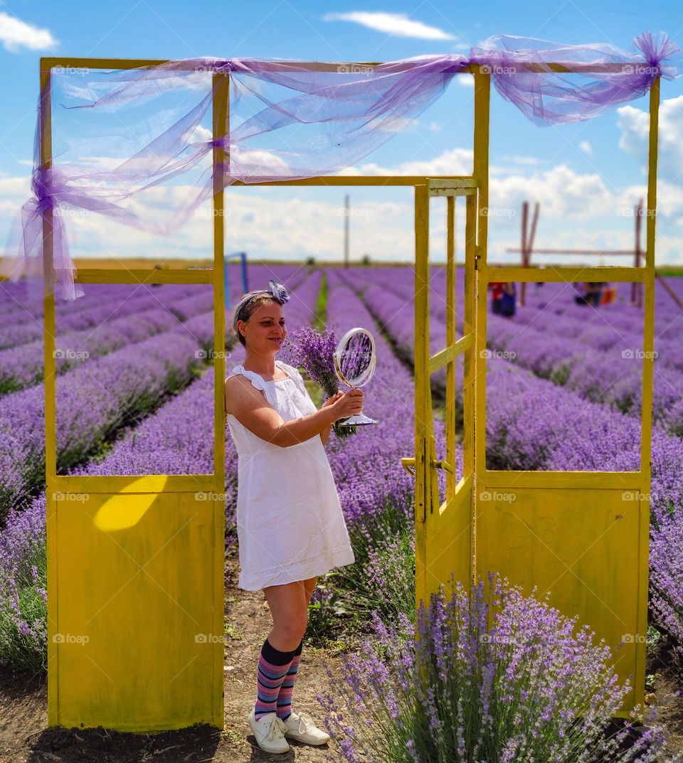 Lavender fields of purple