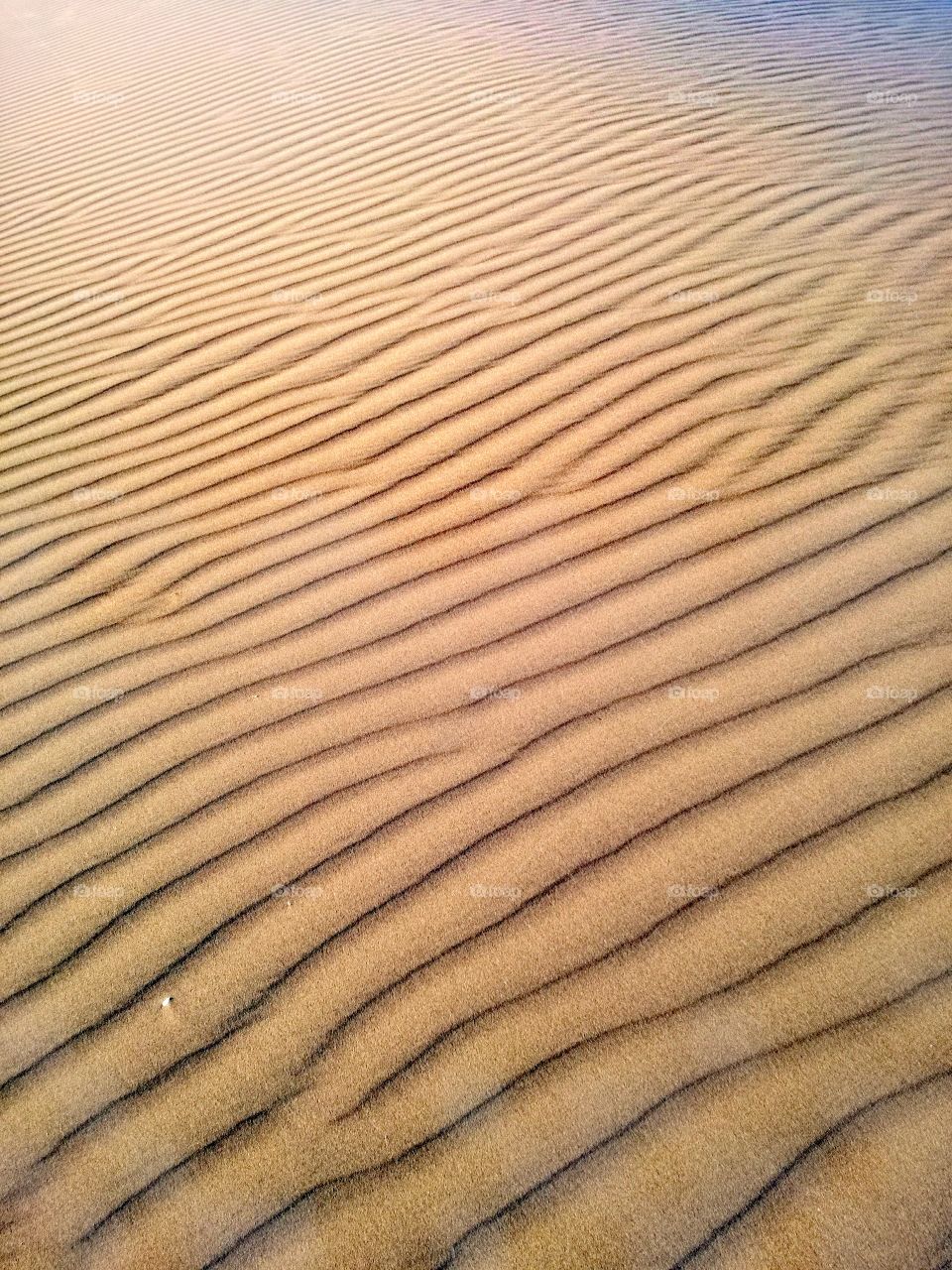 sand in the desert