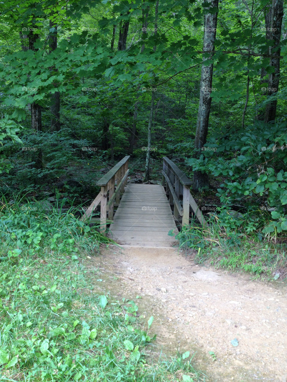 woods bridge creek mystery by passifloravonbluhill