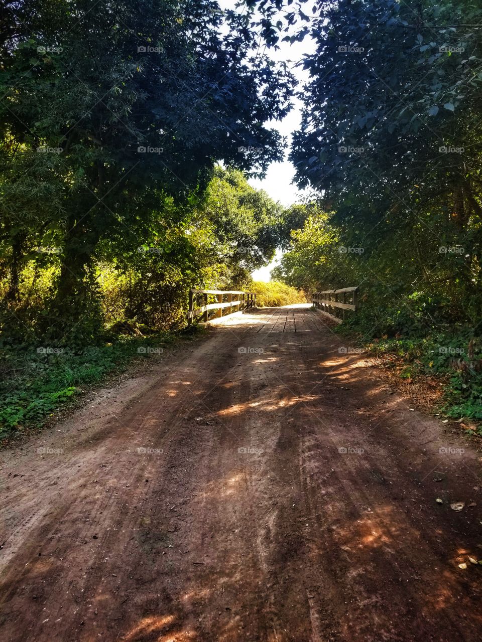 Dirt Road