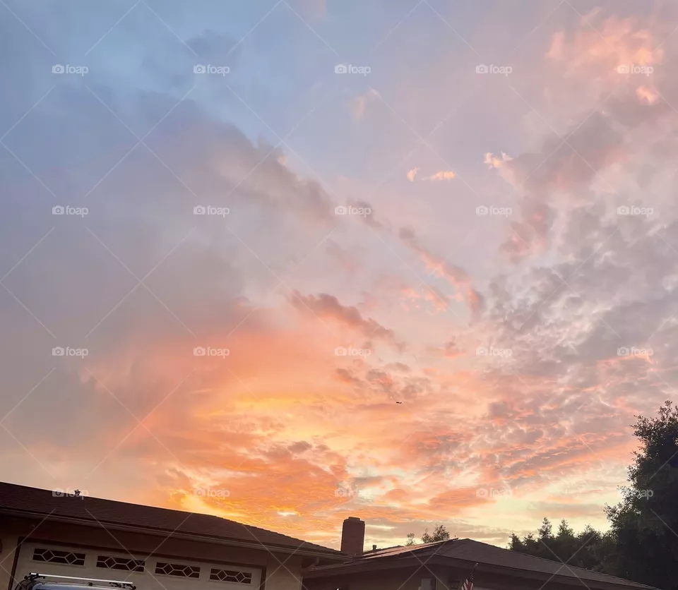 Pink purple yellow orange 