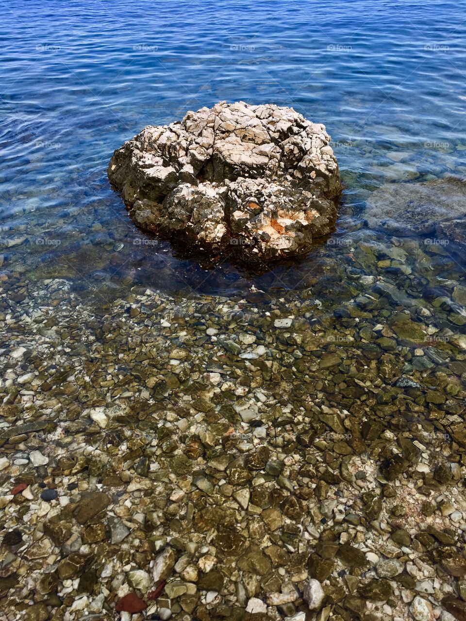 The Istrian shore of the Adriatic Sea near Novigrad