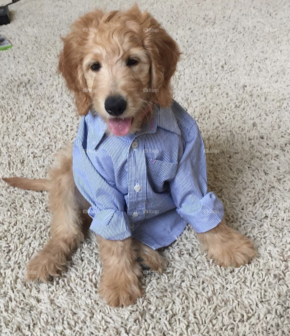 Rolling my sleeves up and ready to work. 