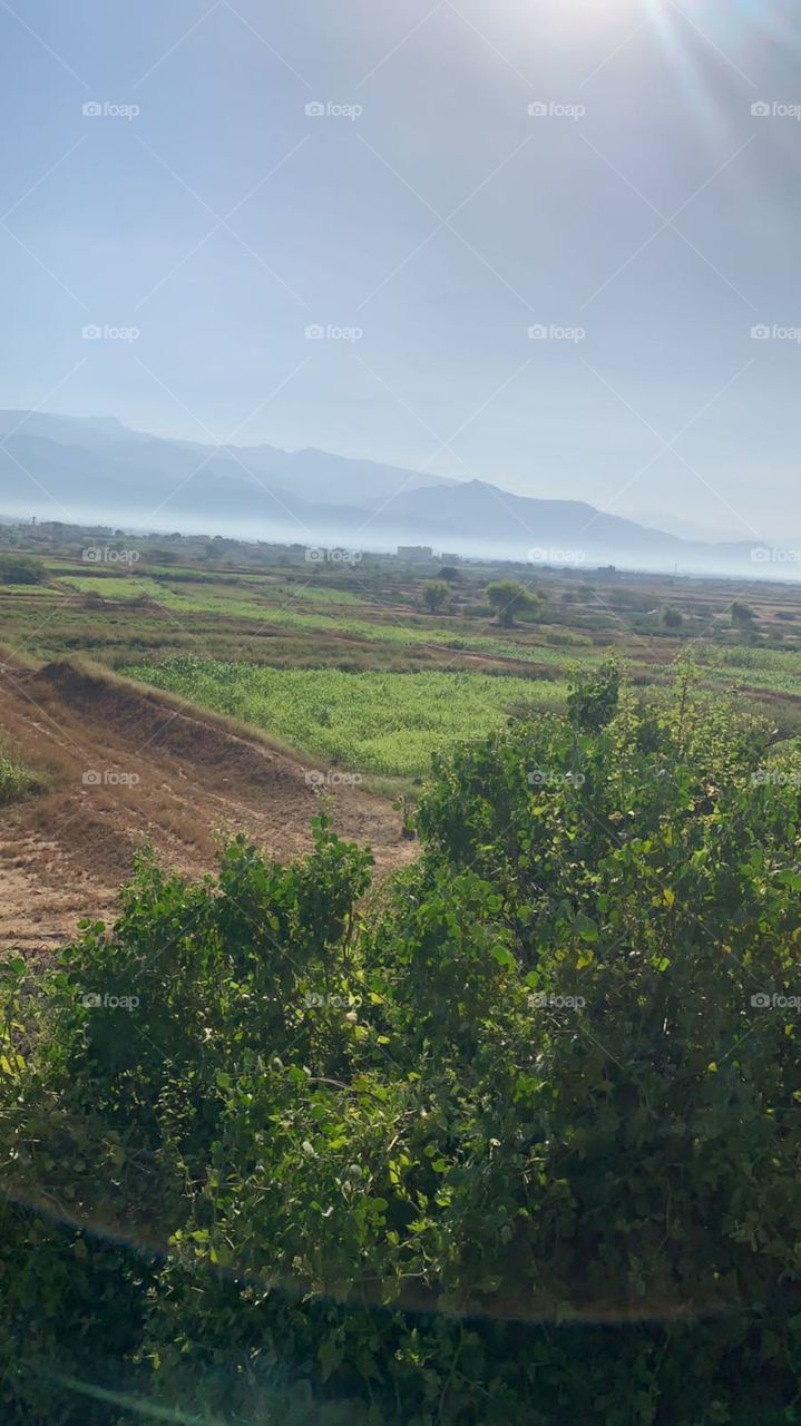 i am poor and need dollars, I have family conditions