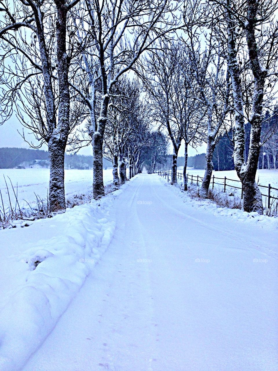 View snow covered snow